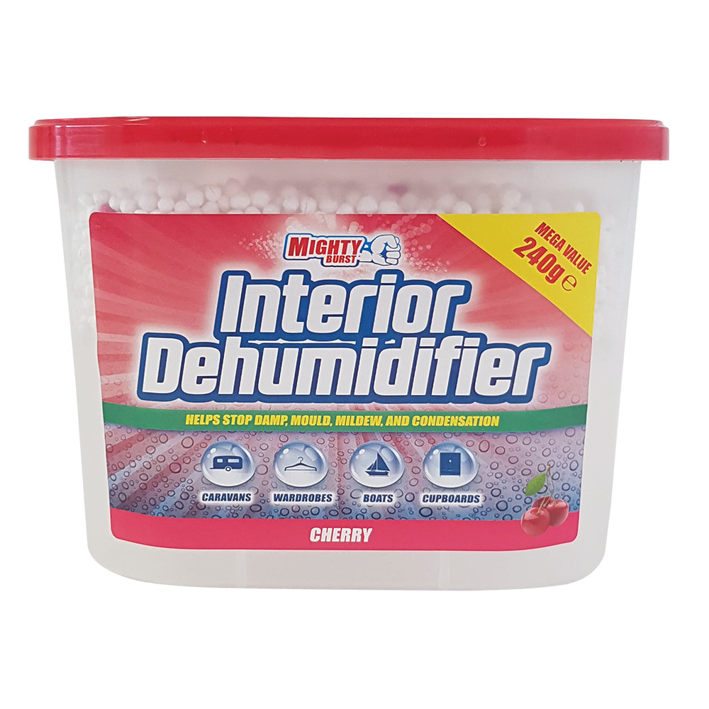 Interior Dehumidifiers